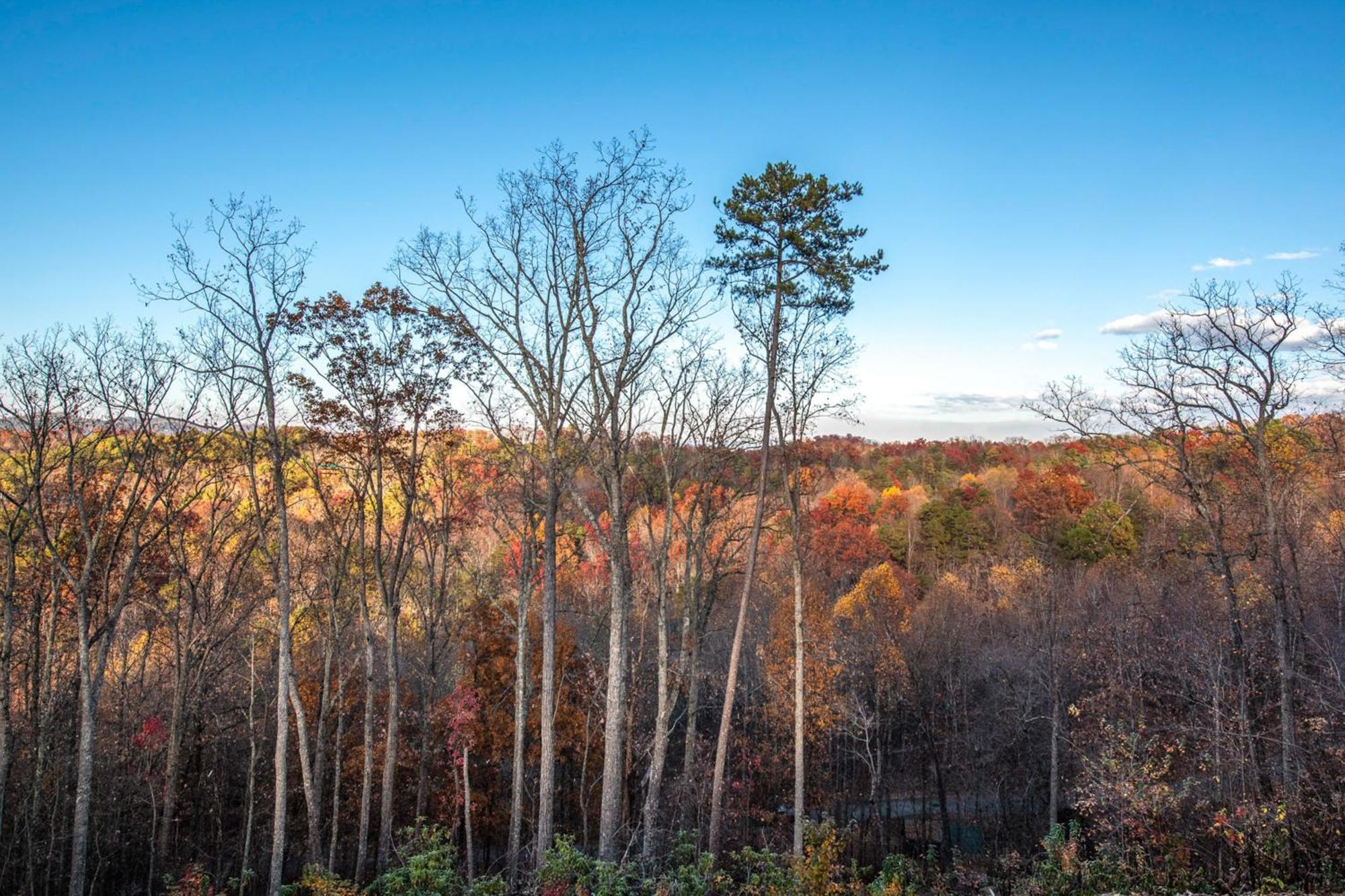 The Treetop Sanctuary Villa Sevierville Exterior photo